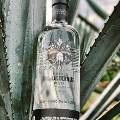 Paquete 6 Botellas De Tequila Cristalino 750ml Mil Demonios