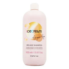 Shampoo Inebrya Argan Age 1000ml Hidratación Y Brillo