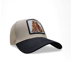 Gorra Animal Farm Bear beige ajustable estilo camionero Knite