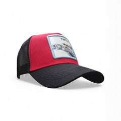 Gorra Animal Farm Turtle gris rojo ajustable estilo Knite