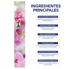 Serum facial BE AES células madre y ácido hialurónico 50 ml