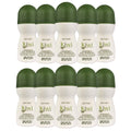 Desodorante Zermat Roll On Kiwi unisex paquete de 10