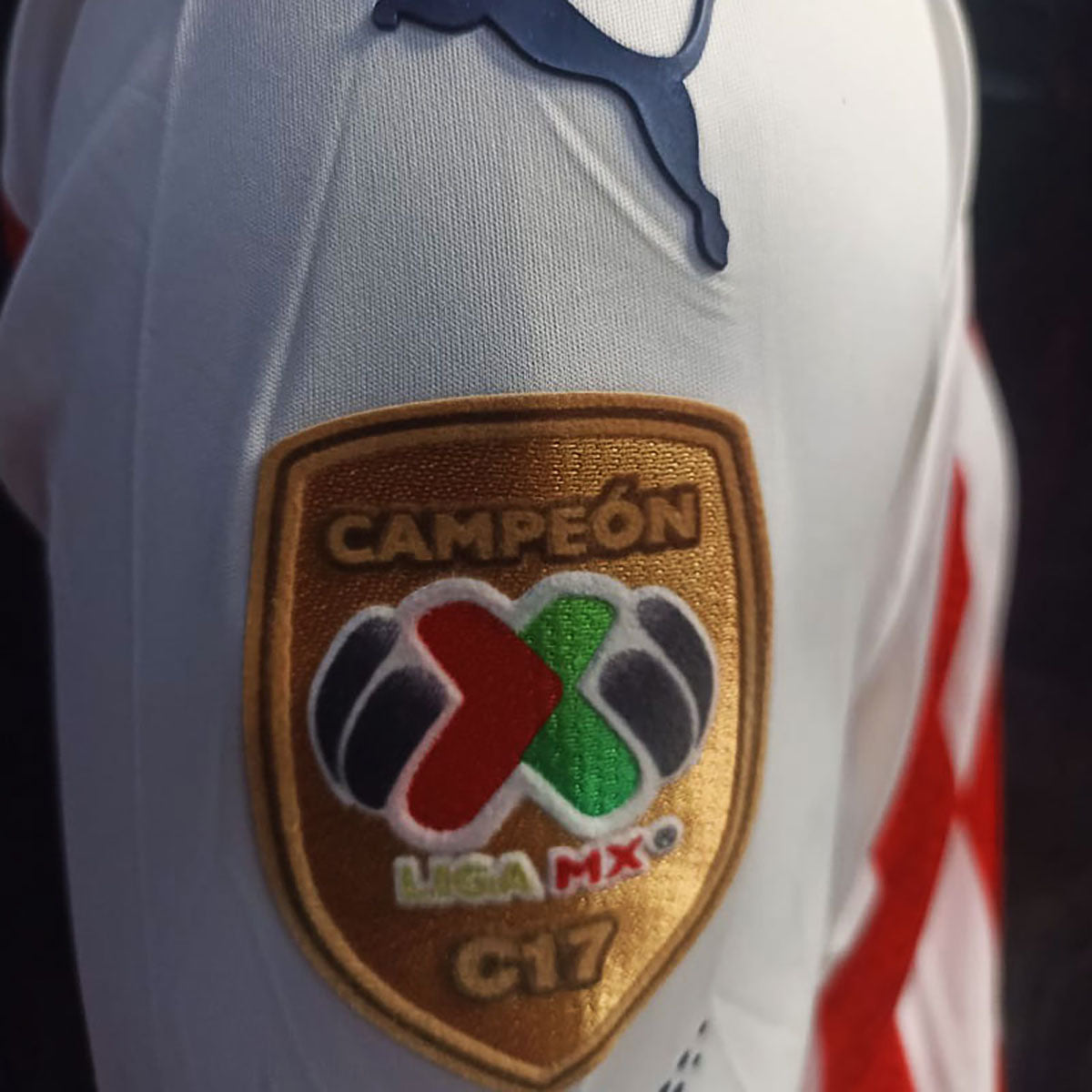 JERSEY PUMA JUGADOR CHIVAS MANGA CORTA TALLA S