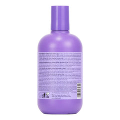 Shampoo Inebrya No Yellow 300ml Matizador Rubio Y Gris