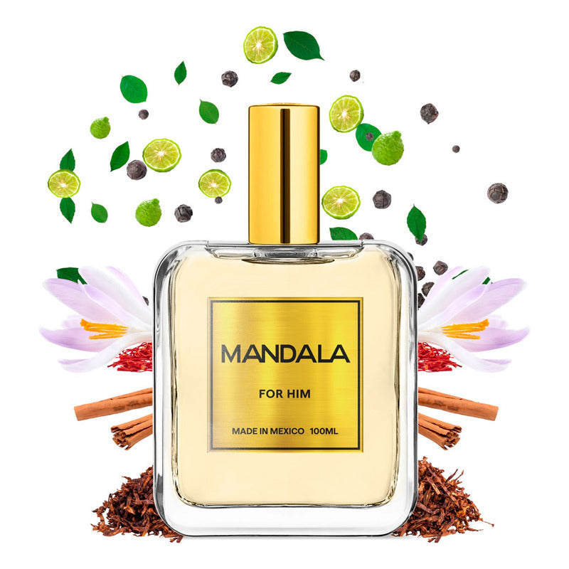 Perfume Hombre Mandala Explosive Essence Concentrado 100ml