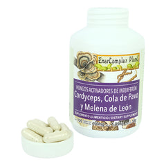 Hongos Cordyceps Melena De Leon Cola Pavo 120 Cap Boticaté