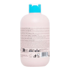 Shampoo Alisante Inebrya Ice Cream Liss Perfect Frizz