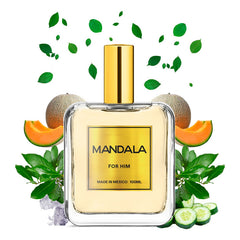 Perfume Hombre Mandala Azure Breeze Marino Concentrado 100ml