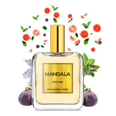 Perfume Hombre Mandala Modern Siren Cítrico 100ml