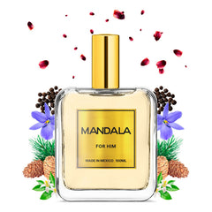 Perfume Hombre Mandala Vibe Essence Fresco Concentrado 100ml