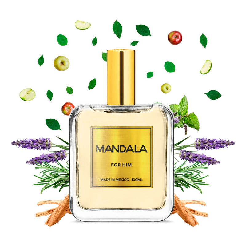 Perfume Hombre Mandala Endless Elegance Concentrado 100ml