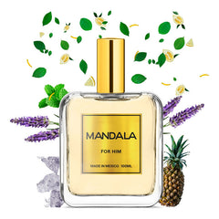 Perfume Hombre Mandala Alpine Fresh Fresco Concentrado 100ml
