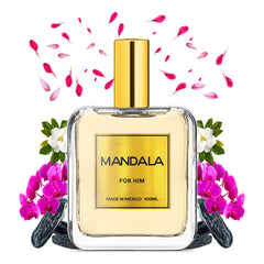 Perfume Hombre Mandala Urban Pulse Fresco Concentrado 100ml