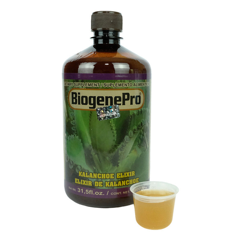 Bebida Kalanchoe Orgánico Vegano Natural 900 Ml Biogenerpro Sin Sabor