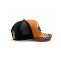 Gorra Sunset Bull Hombre Malla Transpirable Cachucha Knite