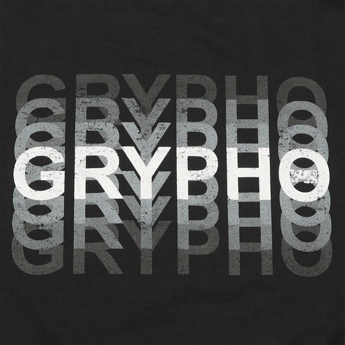 Playera Oversized Hombre Algodón Heavyweight 240g Diseño Eco