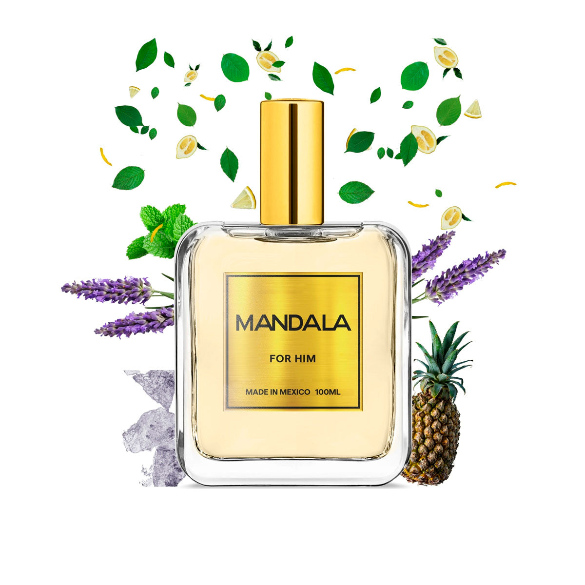 Perfume Hombre Mandala Alpine Fresh Fresco Concentrado 100ml