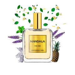 Perfume Hombre Mandala Alpine Fresh Fresco Concentrado 100ml