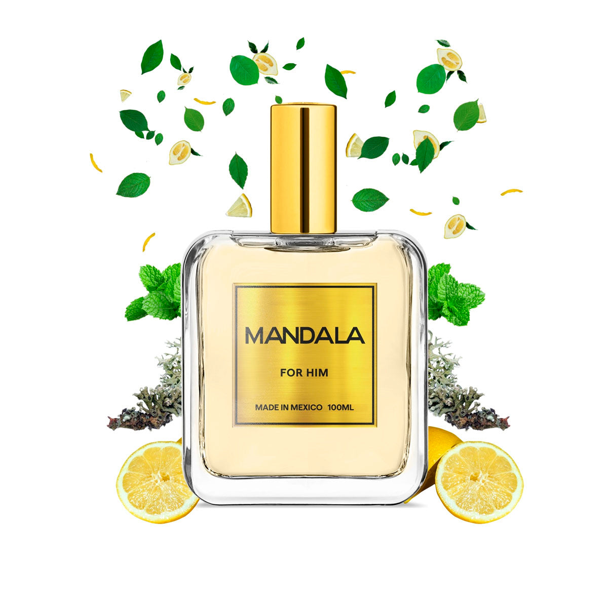 Perfume Hombre Mandala Active Freshness Cítrico 100ml