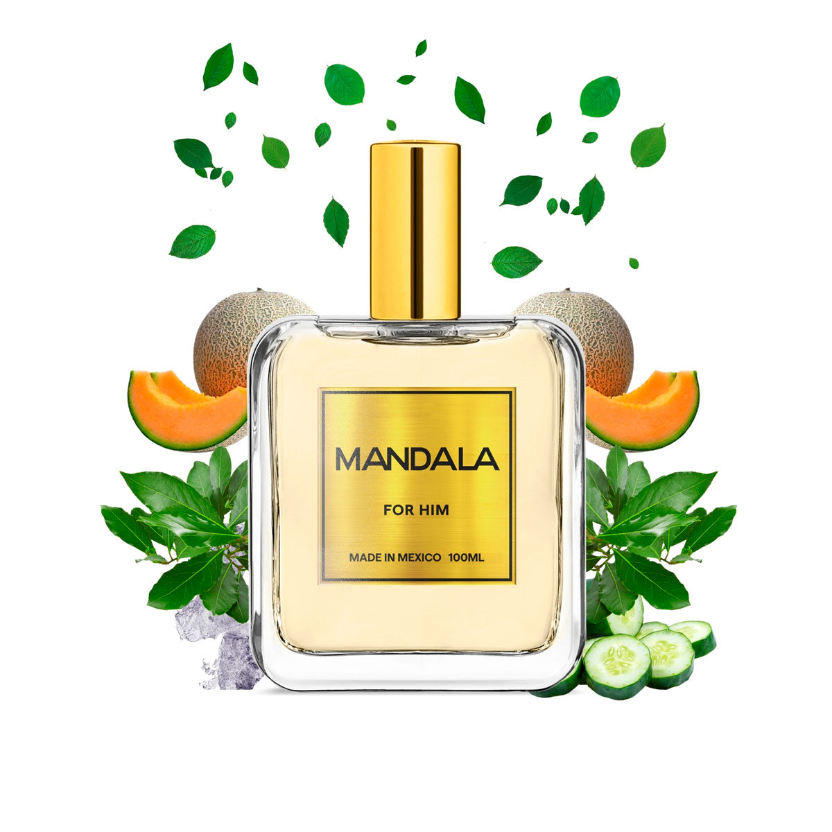 Perfume Hombre Mandala Azure Breeze Marino Concentrado 100ml