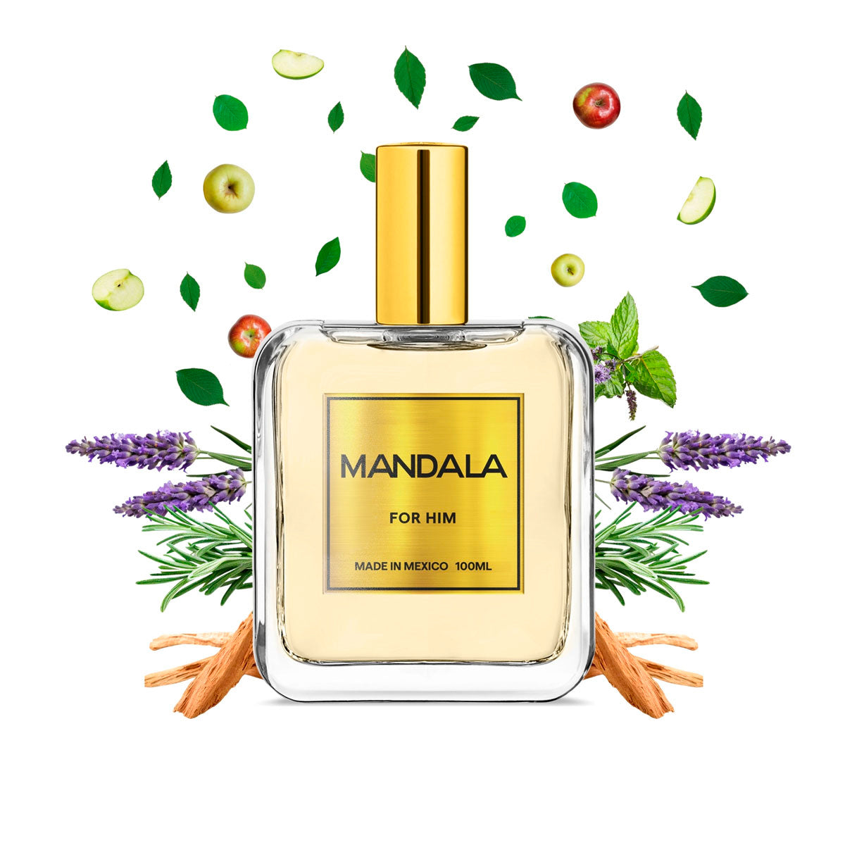 Perfume Hombre Mandala Endless Elegance Concentrado 100ml
