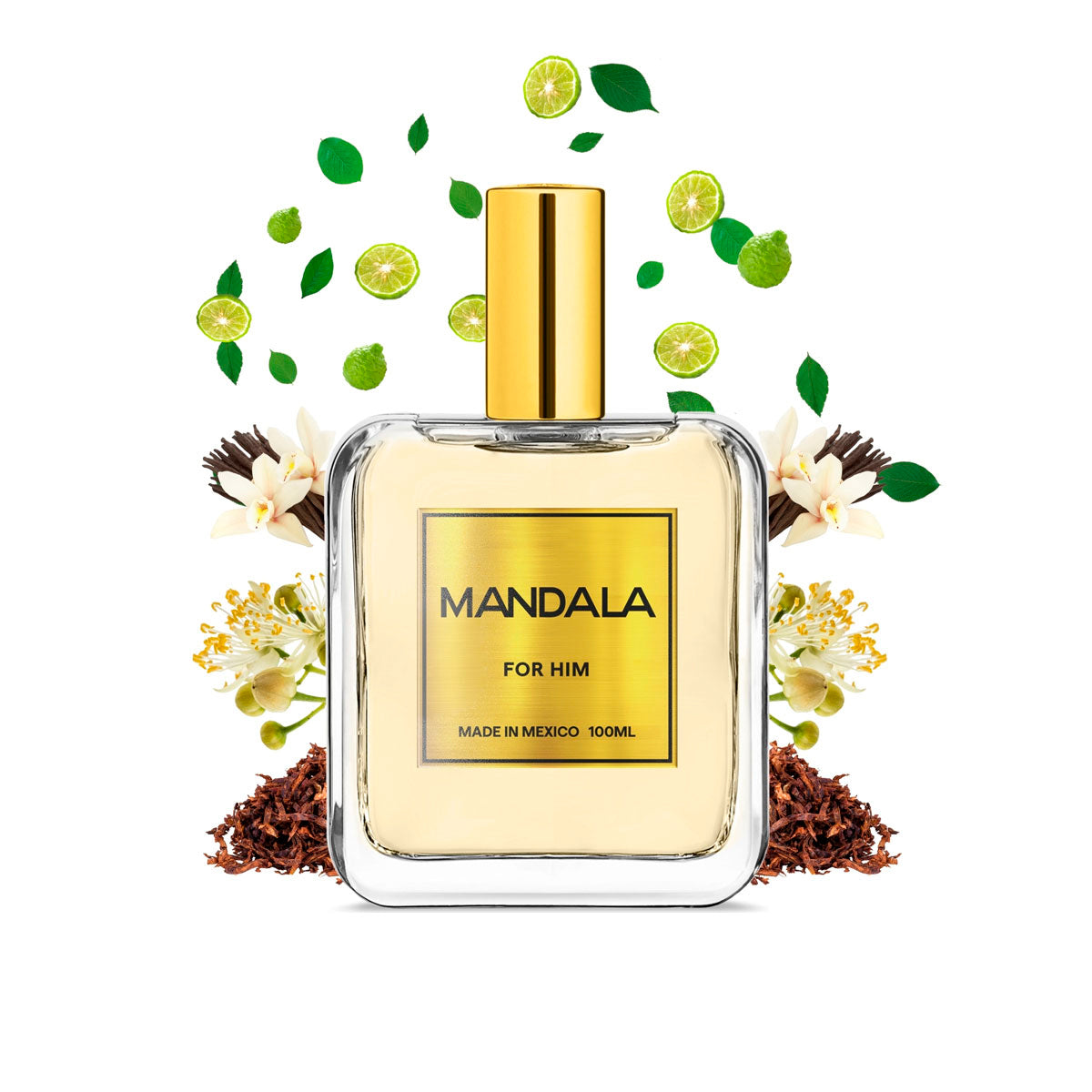 Perfume Hombre Mandala Midnight Code Cuero Concentrado 100ml