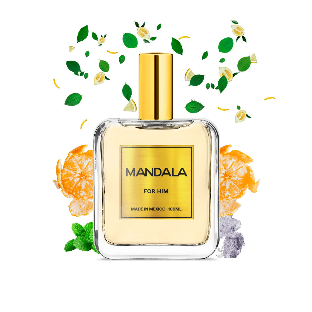 Perfume Hombre Mandala Citrus Cliffs Concentrado 100ml