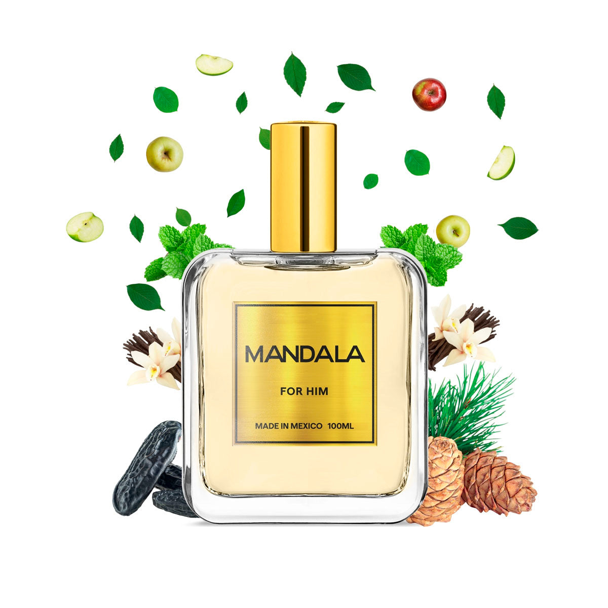 Perfume Hombre Mandala Divine Attraction Menta Vainill 100ml