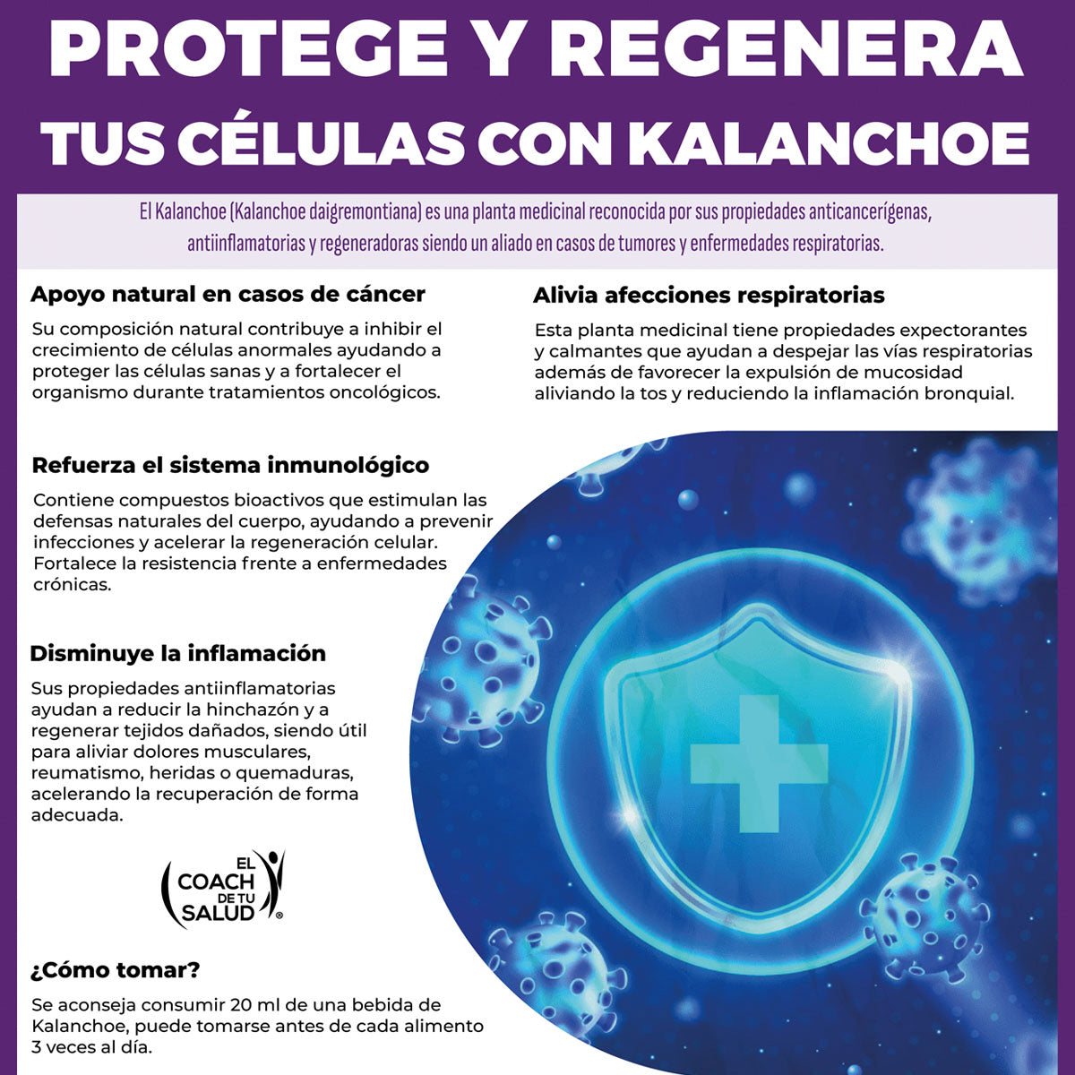Bebida Kalanchoe orgánico vegano 900 ml natural BiogenerPro