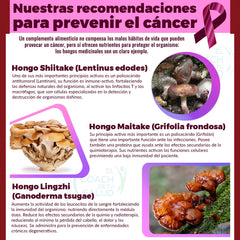 Bebida de hongos Shiitake Maitake Lingzhi 900 ml Inmunomax