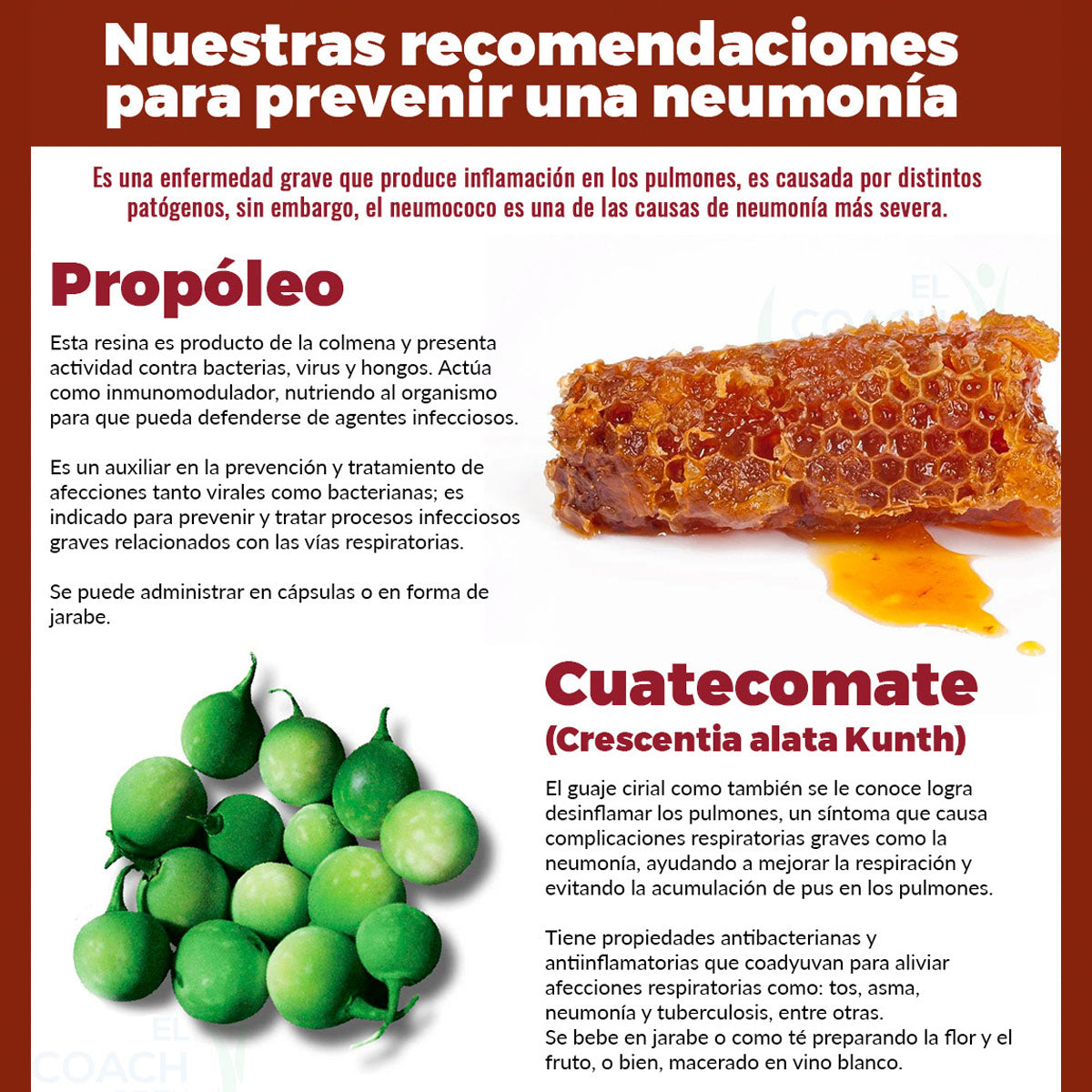 Asmatosin jarabe para tos con propóleo 500 ml Boticaté