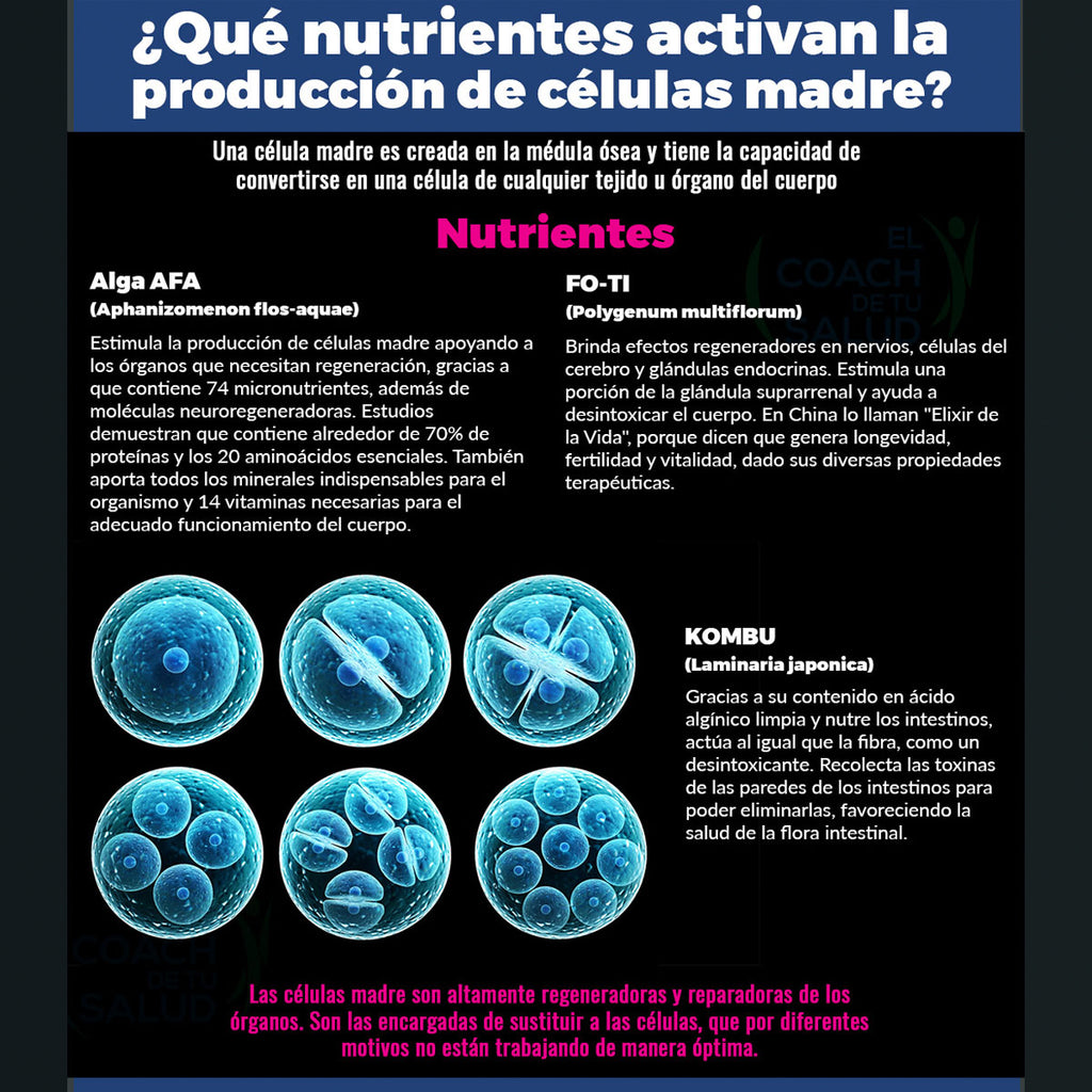 Activador de Celulas Madre AFA y Fo Ti Boticaté 60 capsulas