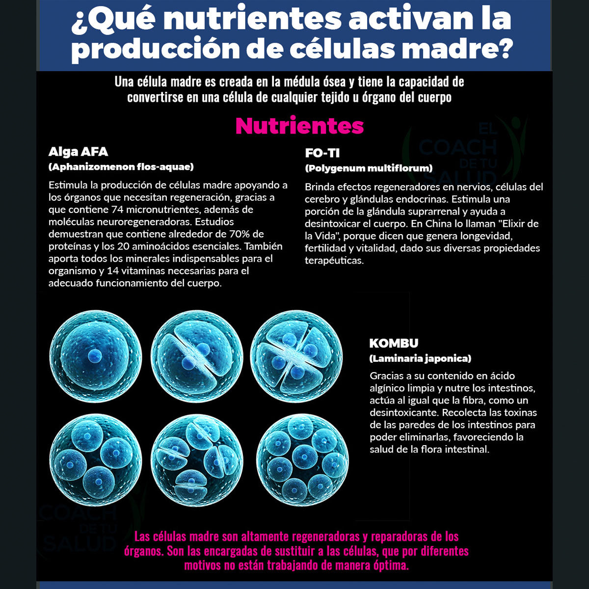 Activador de Celulas Madre AFA y Fo Ti Boticaté 60 capsulas