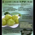Boticaté Amla Amalaki Adaptogeno Organico 120 Capsulas 450 mg