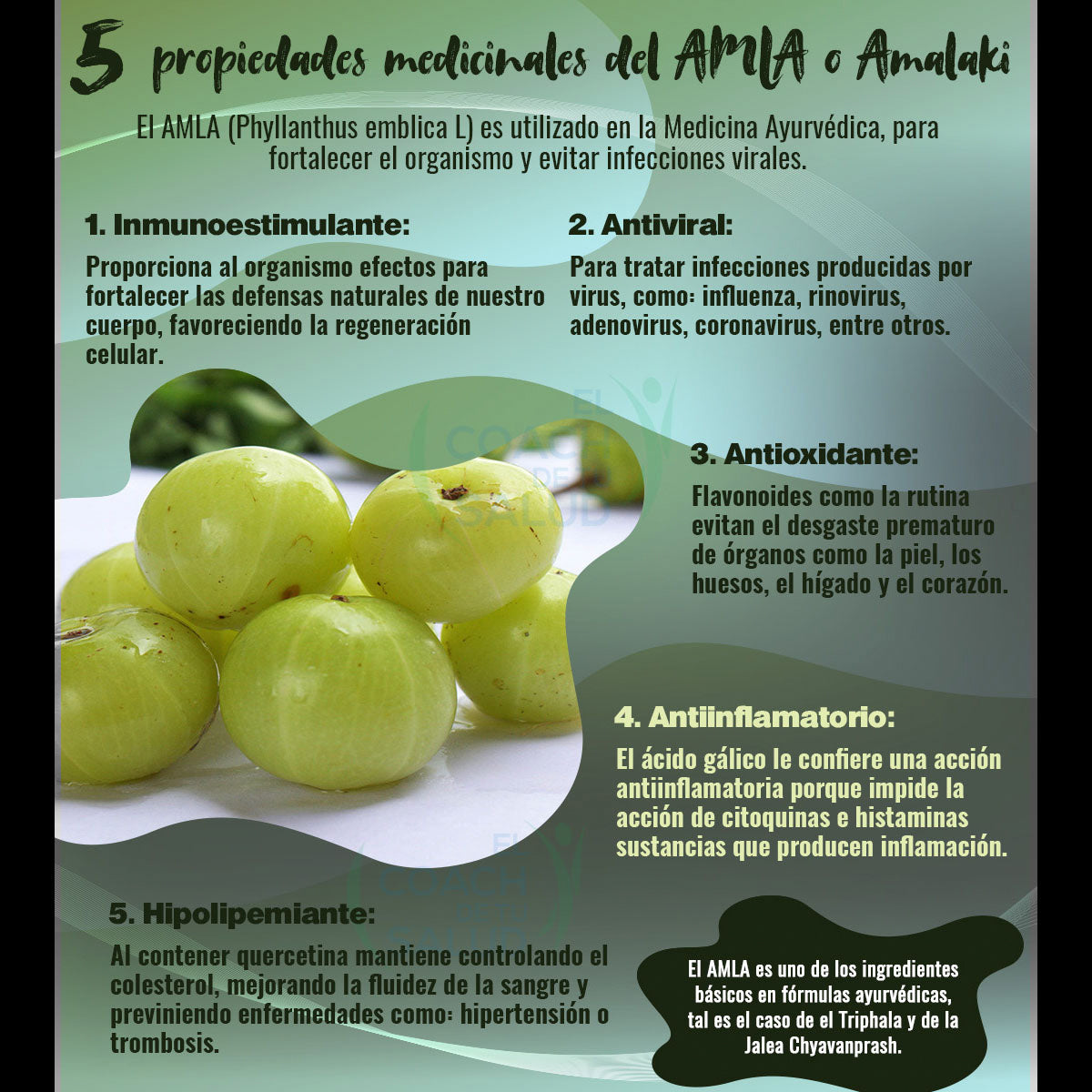 Boticaté Amla Amalaki Adaptogeno Organico 120 Capsulas 450 mg