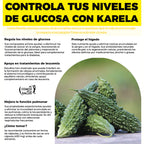 Karela Orgánica Estandarizada 120 Cápsulas 450 mg Boticaté