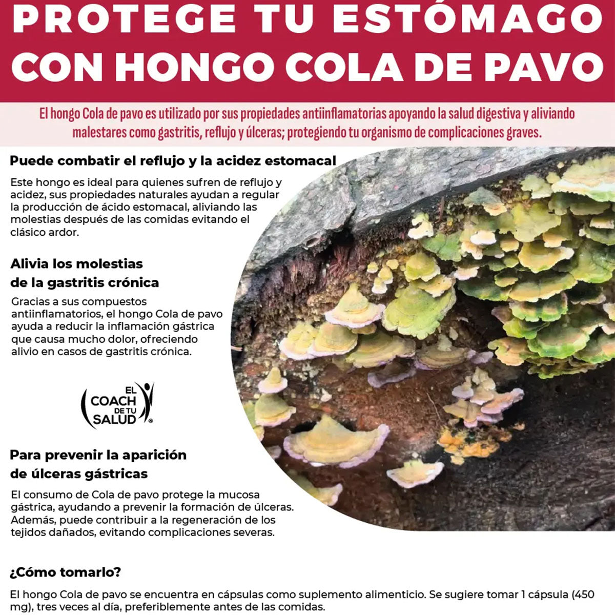 Hongos Boticaté cordyceps melena de leon cola pavo 120 cap