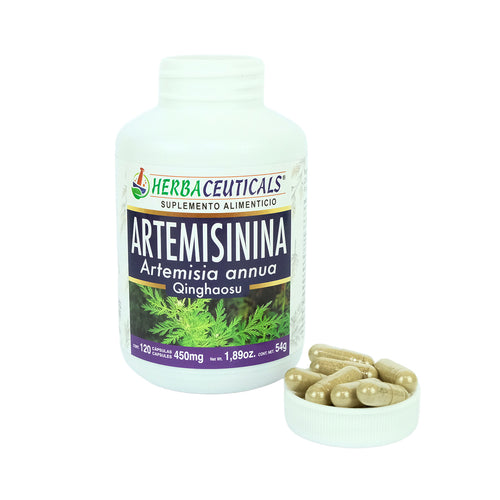 Artemisinina orgánica Artemisia annua 120 cápsulas moto
