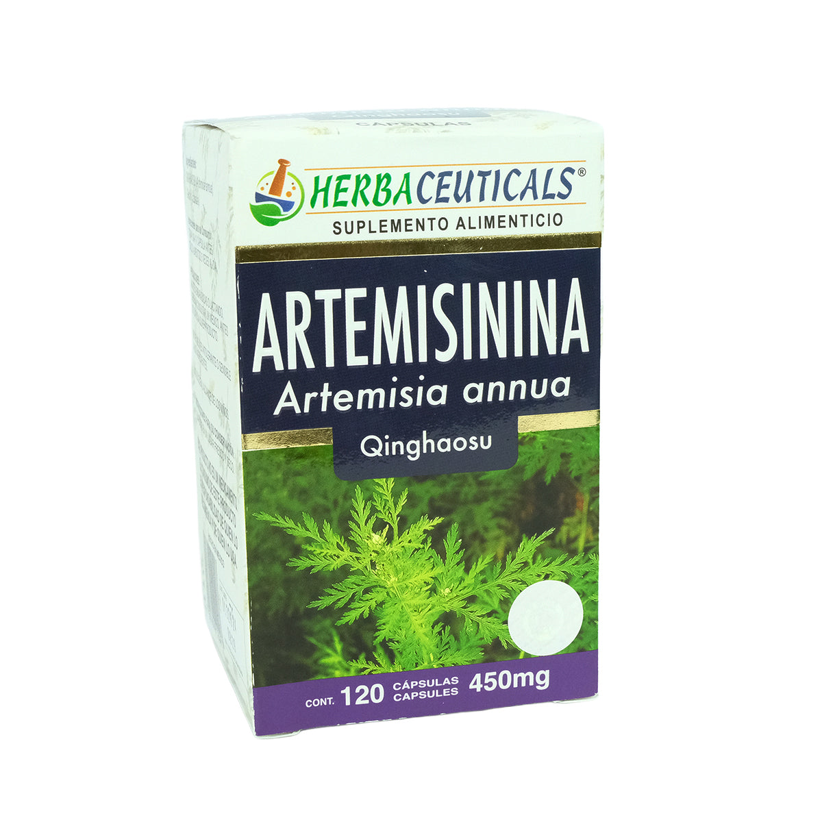 Artemisinina orgánica Artemisia annua 120 cápsulas moto