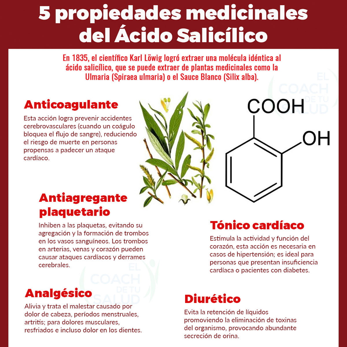 Boticaté Ácido Salicílico natural 30 cápsulas Pack 2