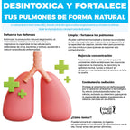 NAC Glutation y Acido Alfa Lipoico 30 Nutri Packs Boticaté