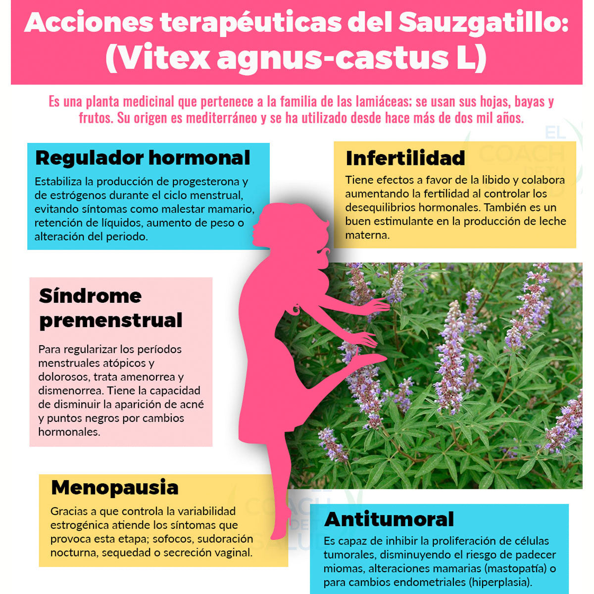 Boticaté Sauzgatillo orgánico 60 cápsulas 450 mg Vitexina