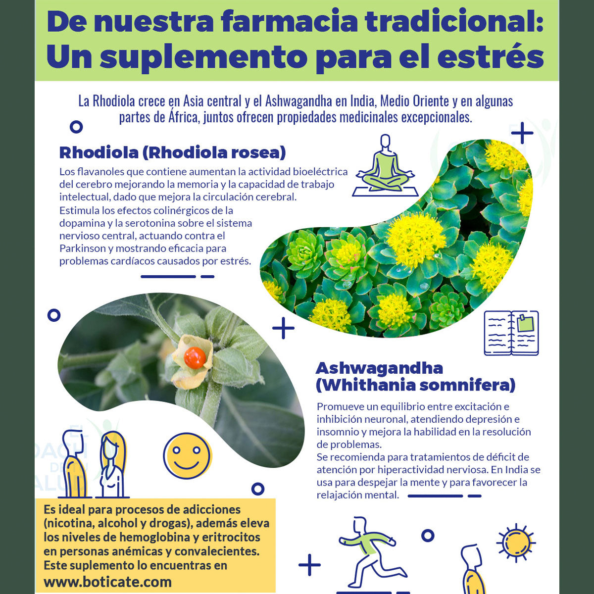 Rhodiola y Ashwagandha Boticaté 60 capsulas 450 mg de