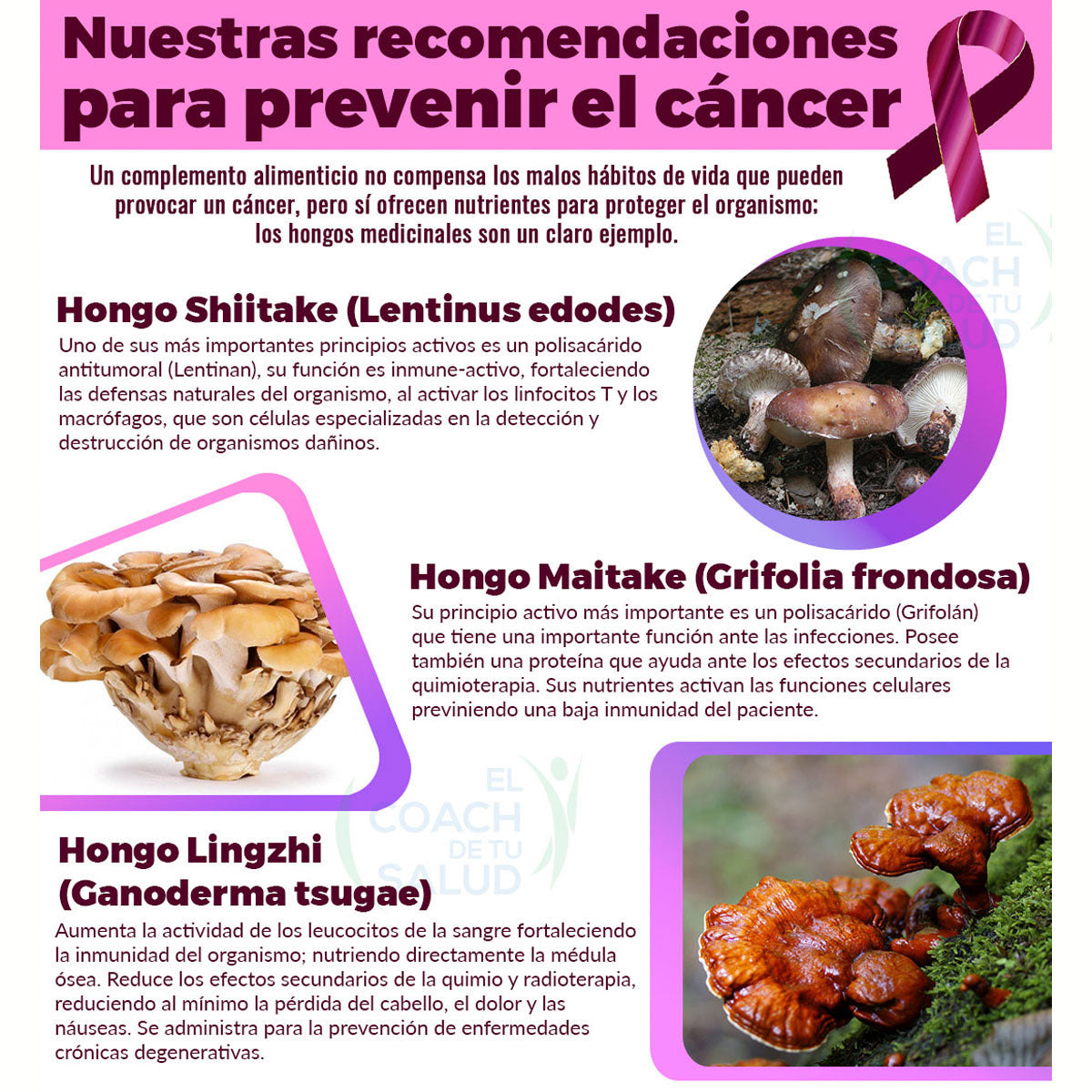 Boticaté Shiitake Maitake y Lingzhi 120 Cáps 450 mg adaptógeno natural