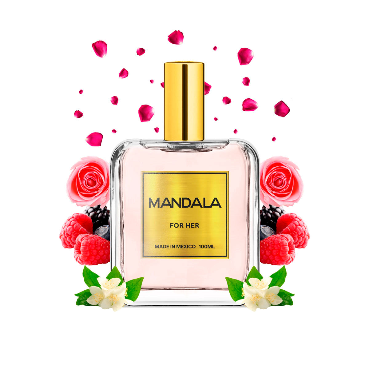 Perfume Mujer Mandala Velvet Mystique Cacao concentrad 100ml