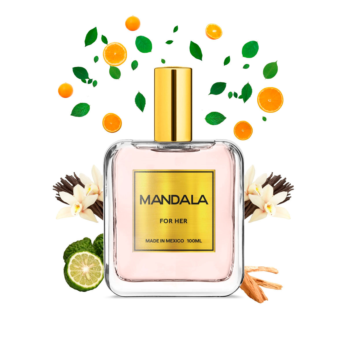 Perfume Mujer Mandala Radiant Glow Jazmín Concentrado 100ml