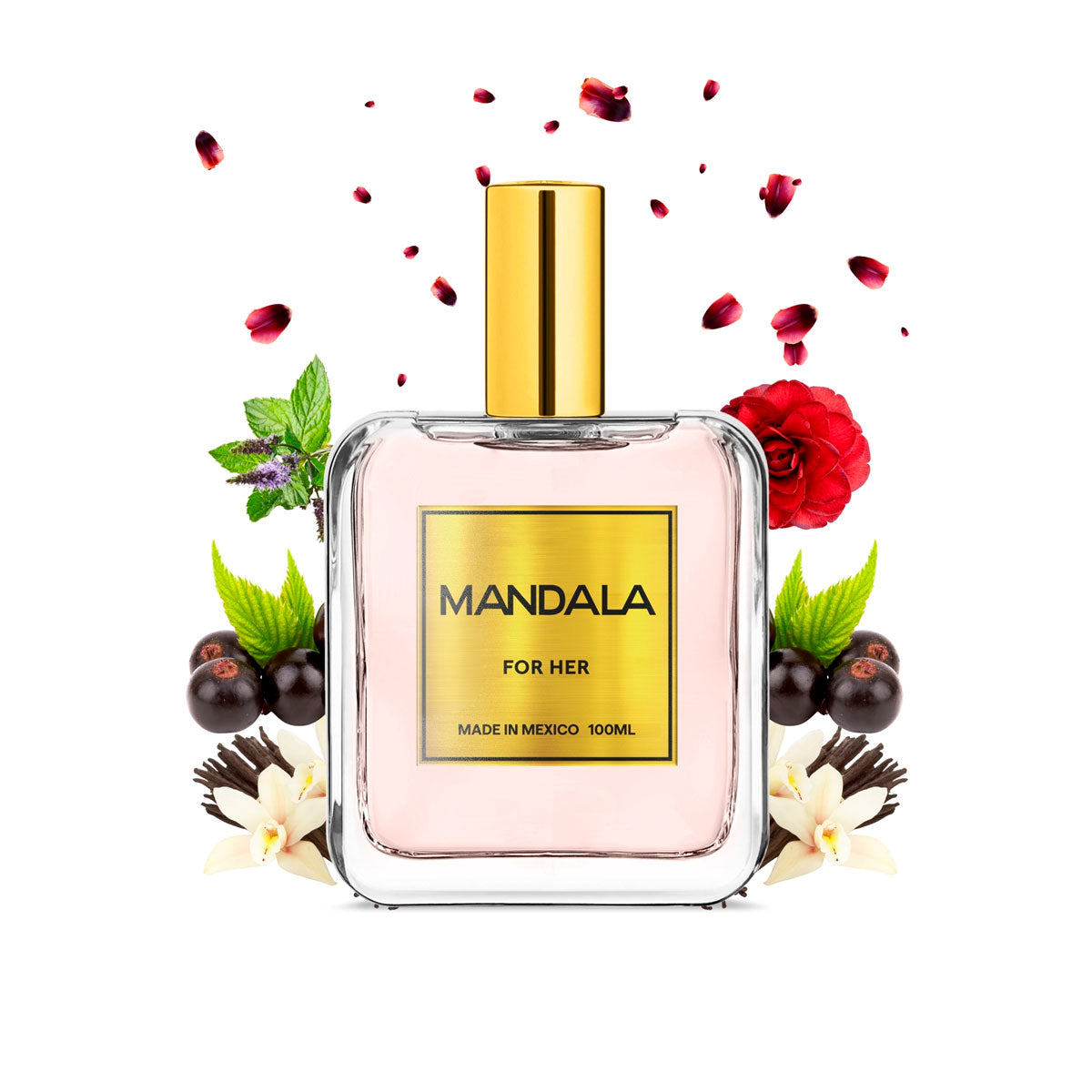 Perfume Mujer Mandala Embrace of Yes Vainilla 100ml