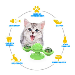 Placa Giratoria Para Gatos Interactiva Juguete Ecológico De TPR