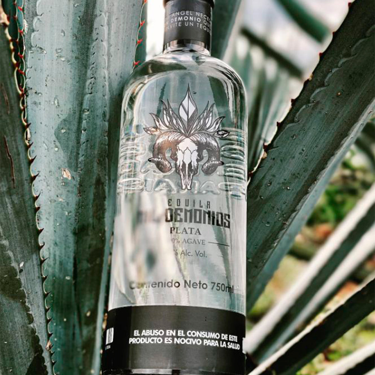 Tequila 100% Agave Azul Cristalino 750ml Mil Demonios