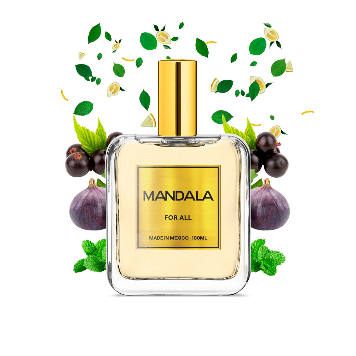 Perfume Unisex Mandala Ocean Whisper Fresco 100ml